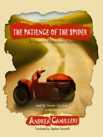 The Patience of the Spider